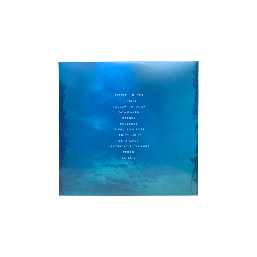 Joy In The Wild Unknown Vinyl