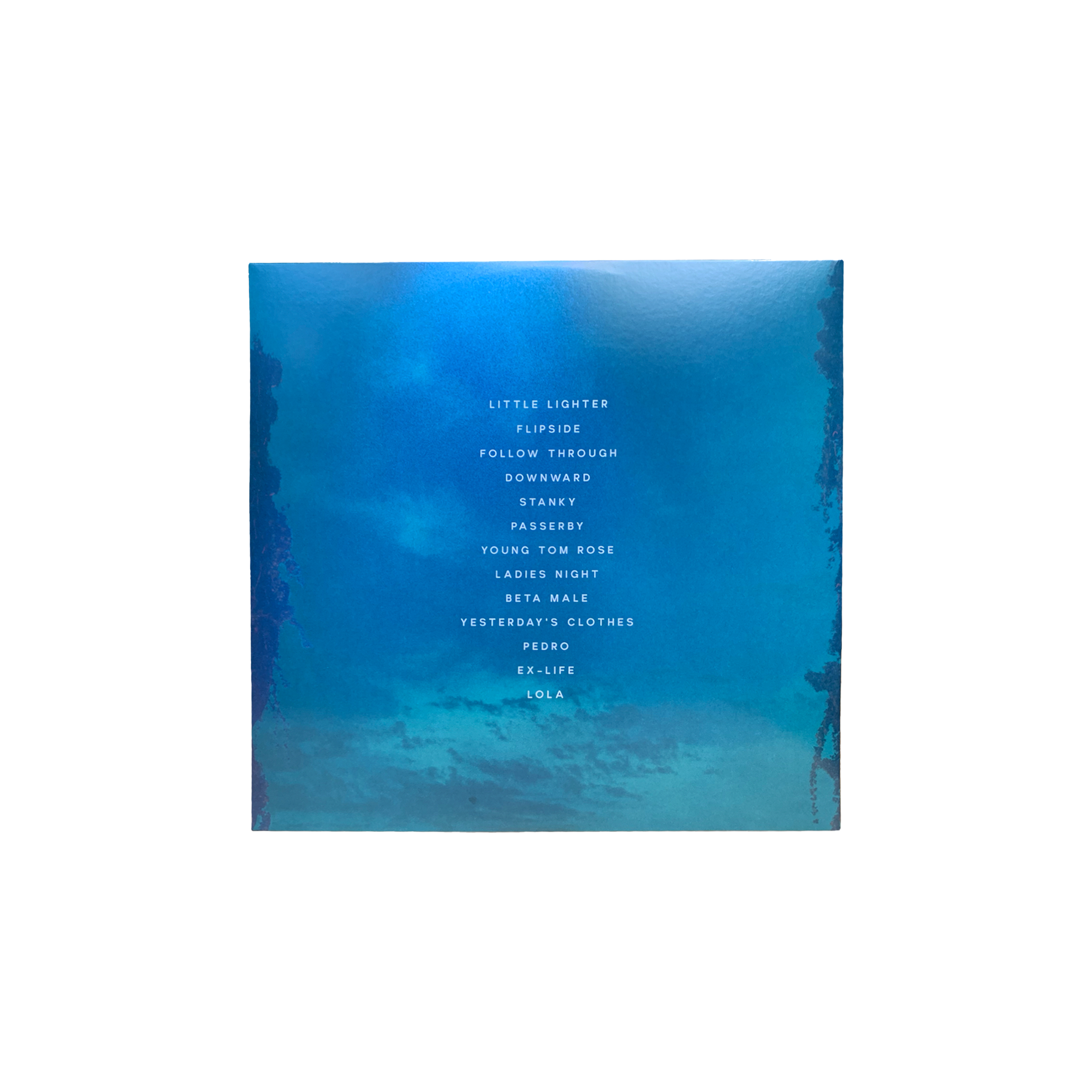 Joy In The Wild Unknown Vinyl
