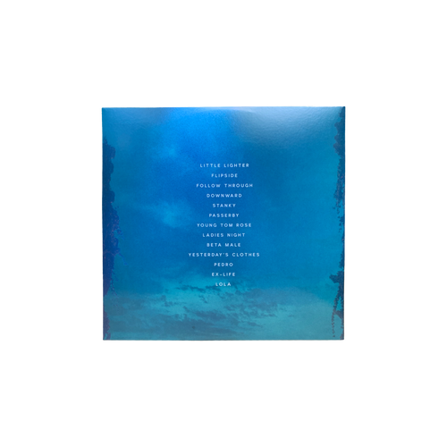 Joy In The Wild Unknown Vinyl – Ripe Band