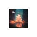 Joy In The Wild Unknown CD