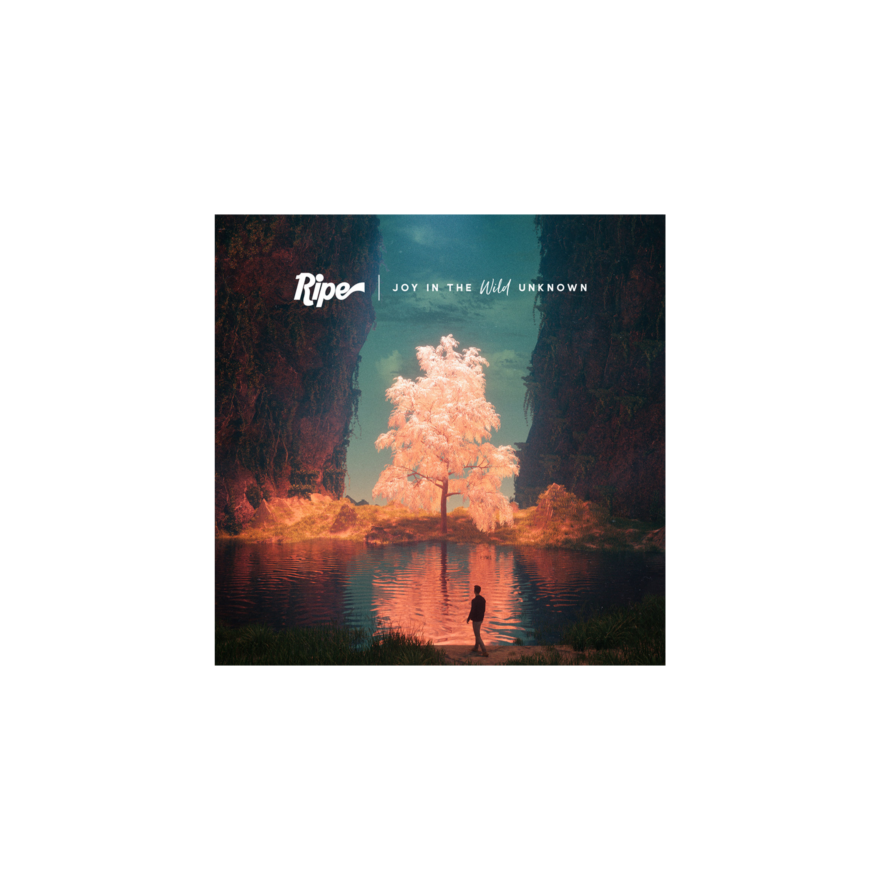 Joy In The Wild Unknown CD