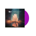 Joy In The Wild Unknown Vinyl