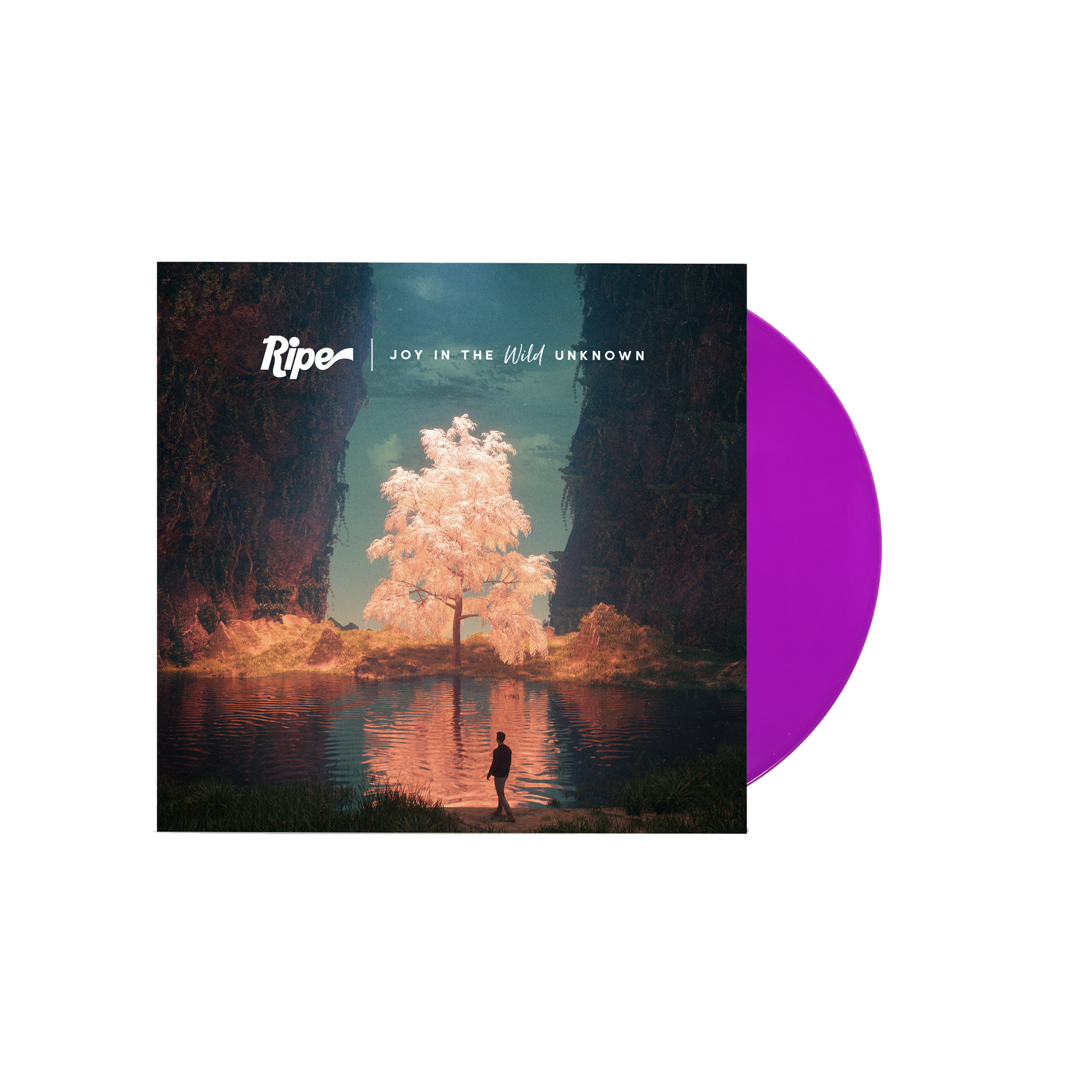 Joy In The Wild Unknown Vinyl