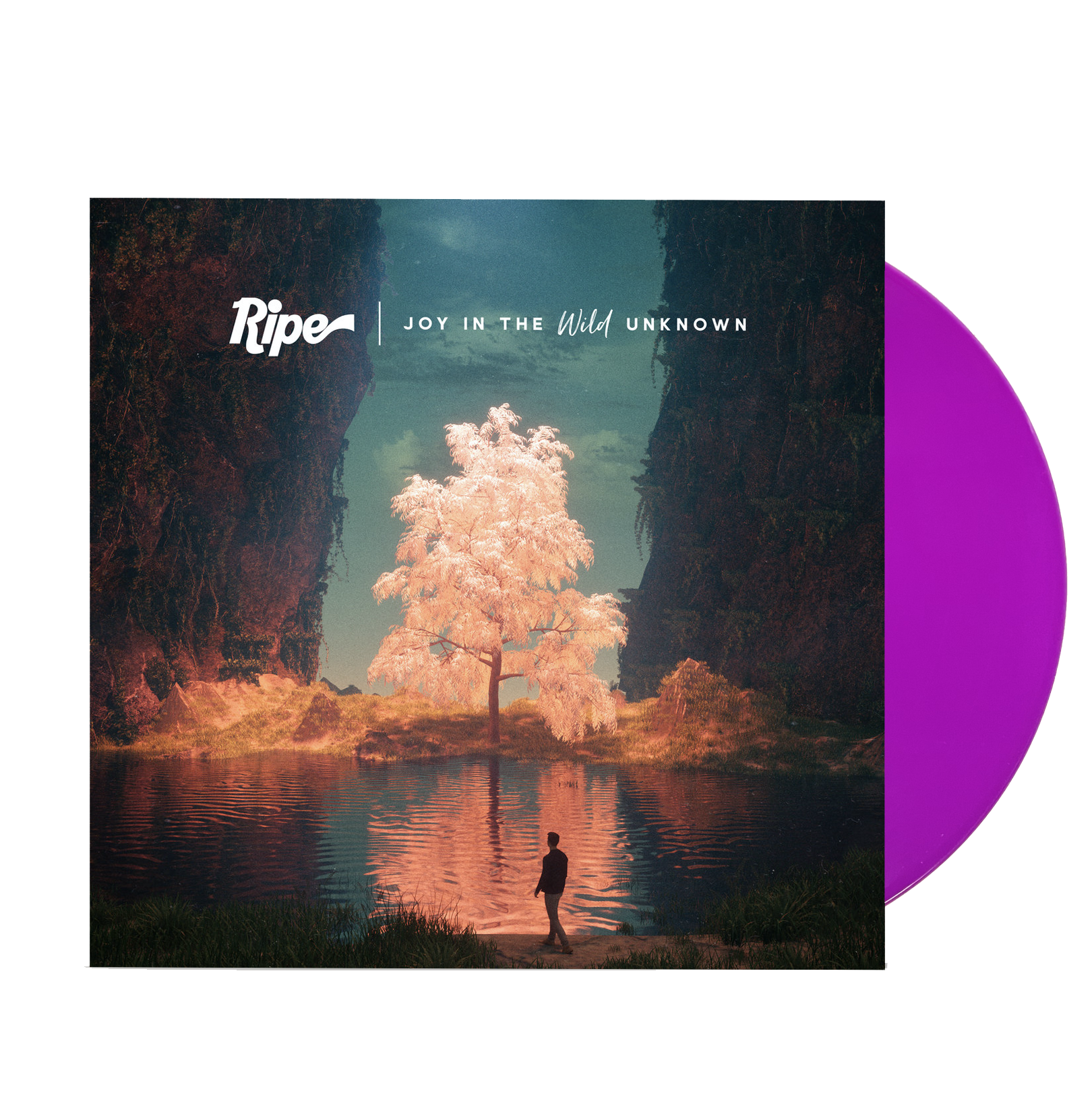 Joy In The Wild Unknown Vinyl