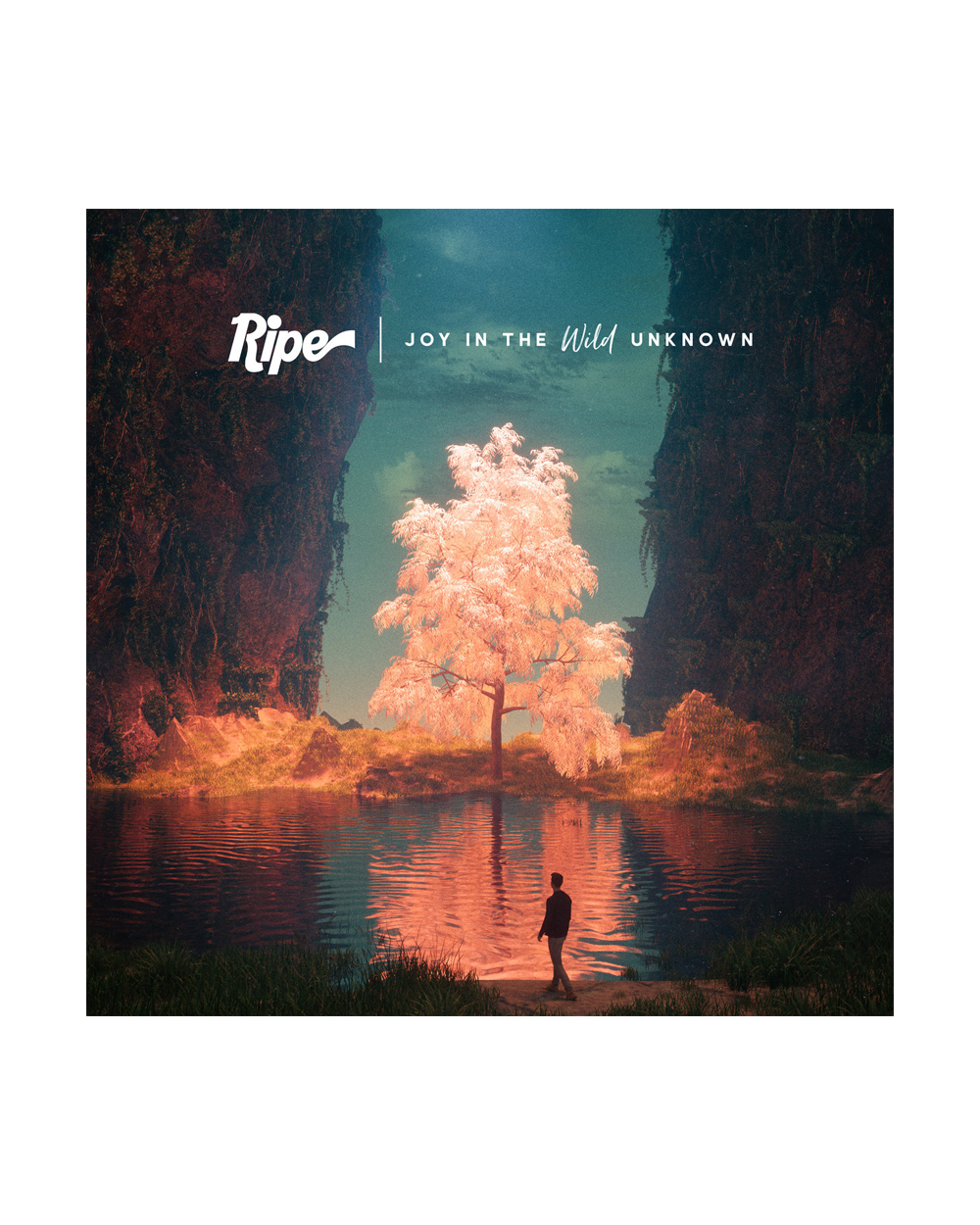Joy In The Wild Unknown CD
