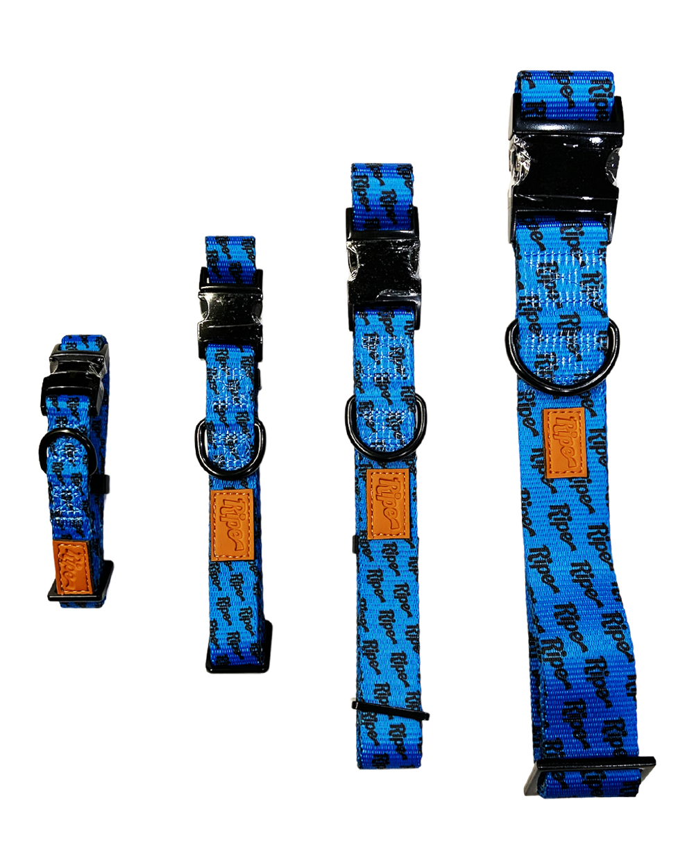 Ripe Bright Blues Dog Collars