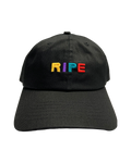 Letters in Color Dad Hat
