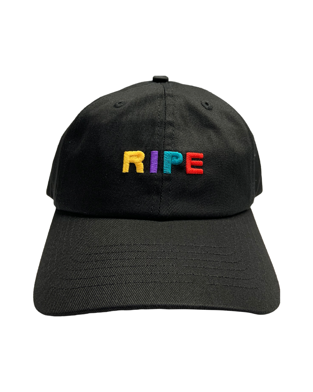 Letters in Color Dad Hat