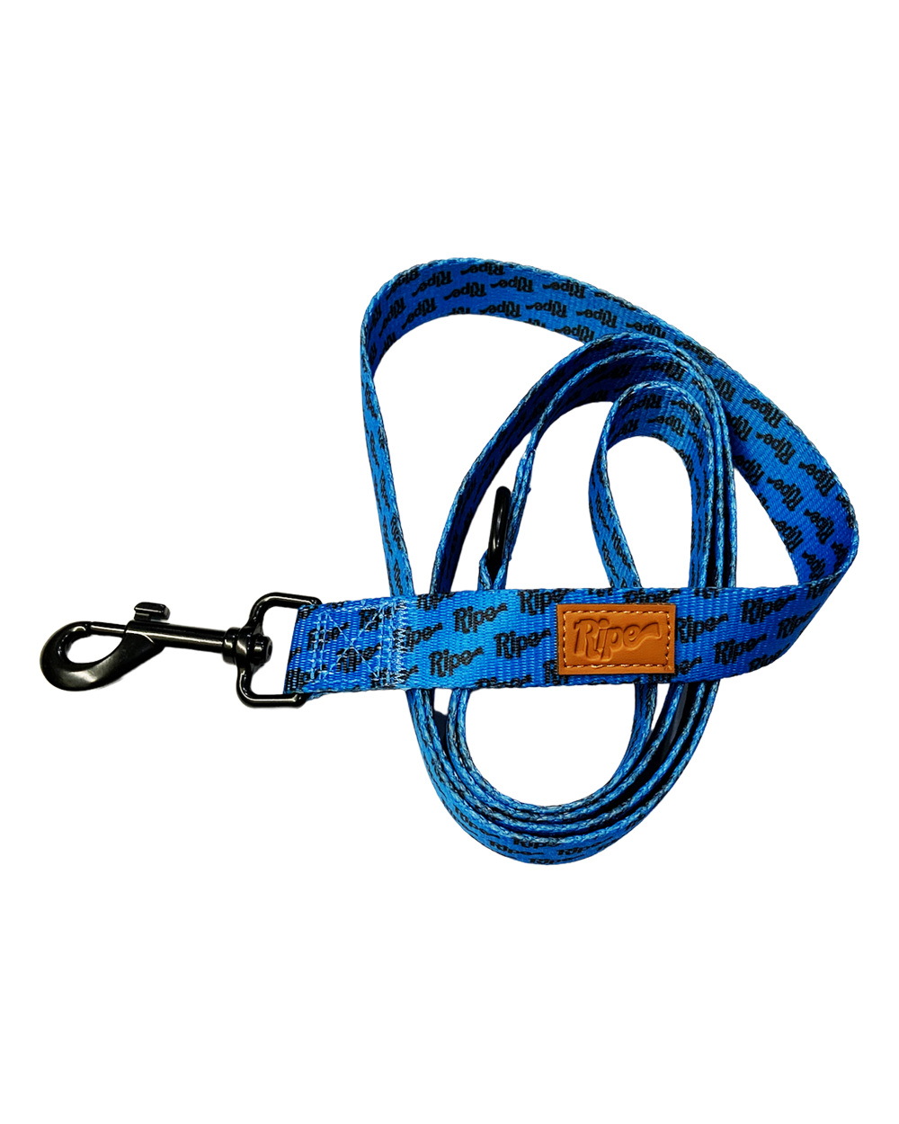 Ripe Bright Blues Dog Leash