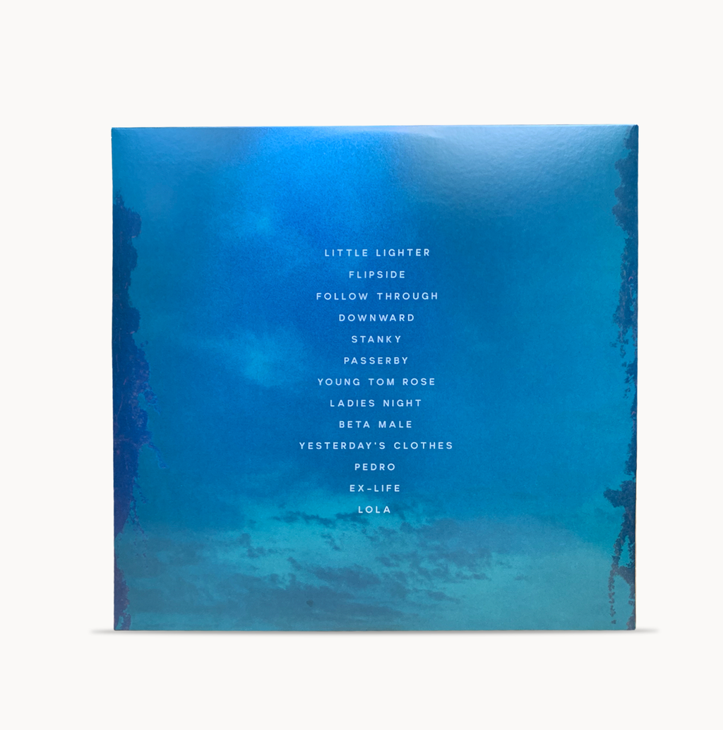 Joy In The Wild Unknown Vinyl